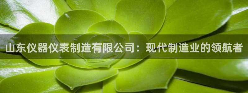 门徒娱乐最狠的三个平台：山东仪器仪表制造有限公司：现代制造业