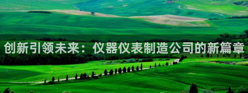 娱乐门徒王梓均是谁：创新引领未来：仪器仪表制造公司的新篇章