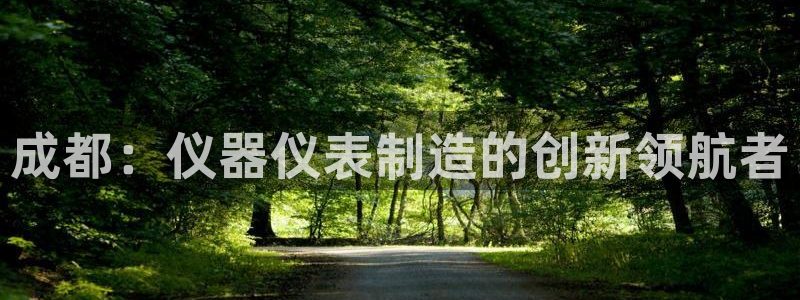 门徒娱乐注册下判官333OO：成都：仪器仪表制造的创新领航者