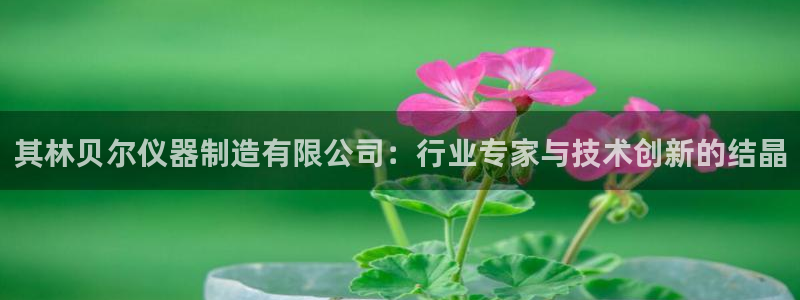 门徒娱乐最狠的三个平台是什么：其林贝尔仪器制造有限公司：行业
